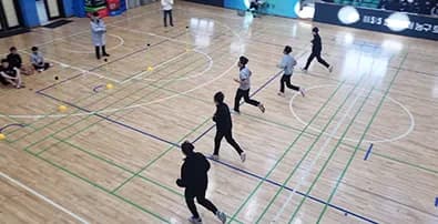 체육 / 교육